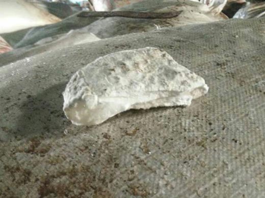 c(din)鿴Ԕ(x)Ϣ(bio)}50%wc xΔ(sh)5906